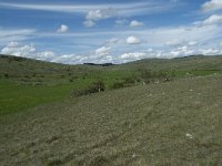 F, Lozere, Gatuzieres, Aures 26, Saxifraga-Willem van Kruijsbergen